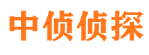 文登侦探公司